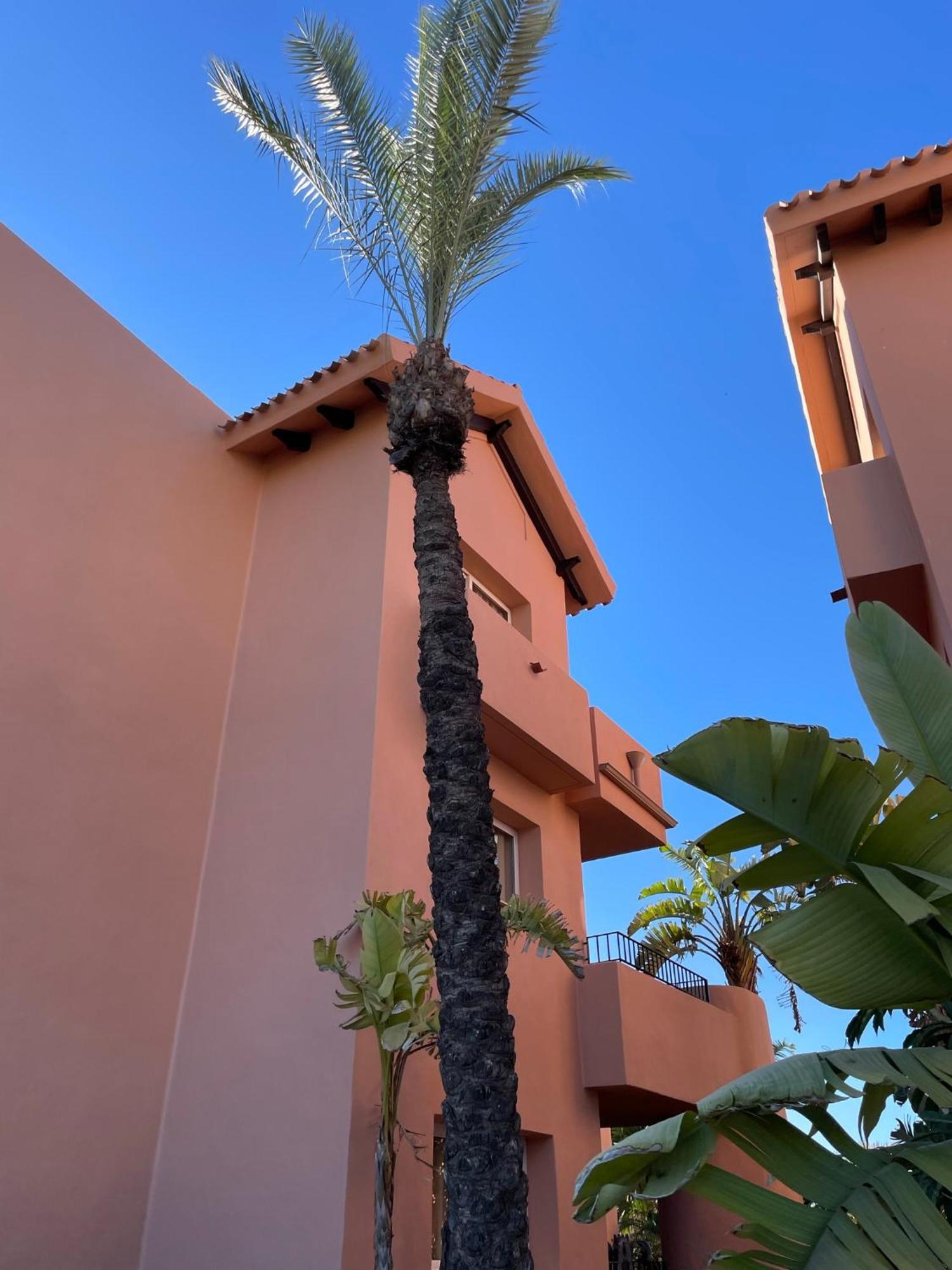Apartment Lakeview 'casa Naranjas' Mar Menor Golf And Leisure Torre-Pacheco